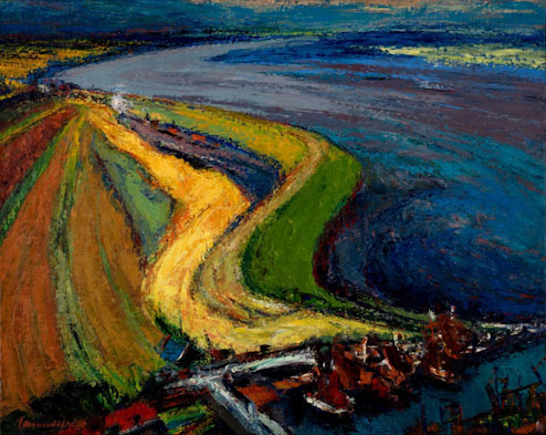 jannes de vries