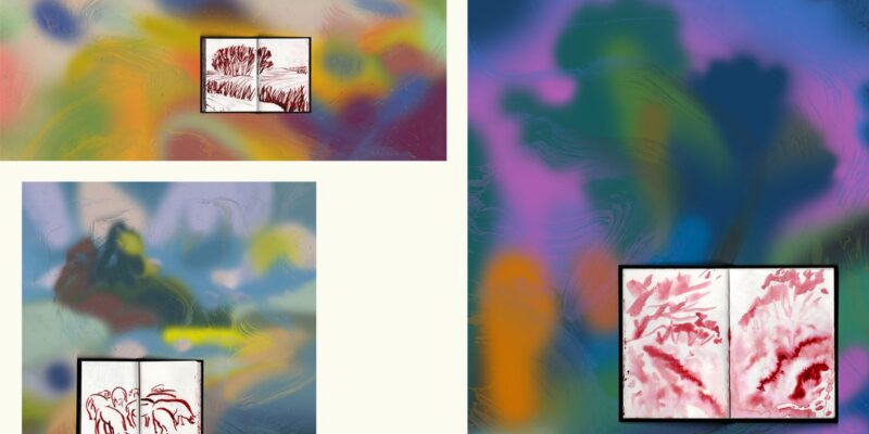 Op safari door Wehe-den Hoorn