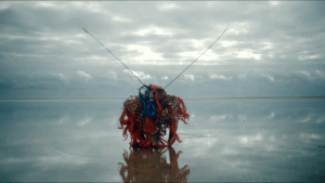 Filmvertoning Waddenzeevolk