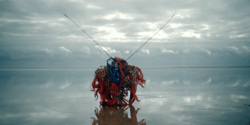 Filmvertoning ‘Waddenzeevolk’
