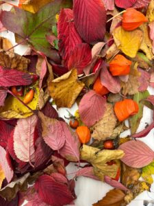 Herfstvakantie: Open atelier