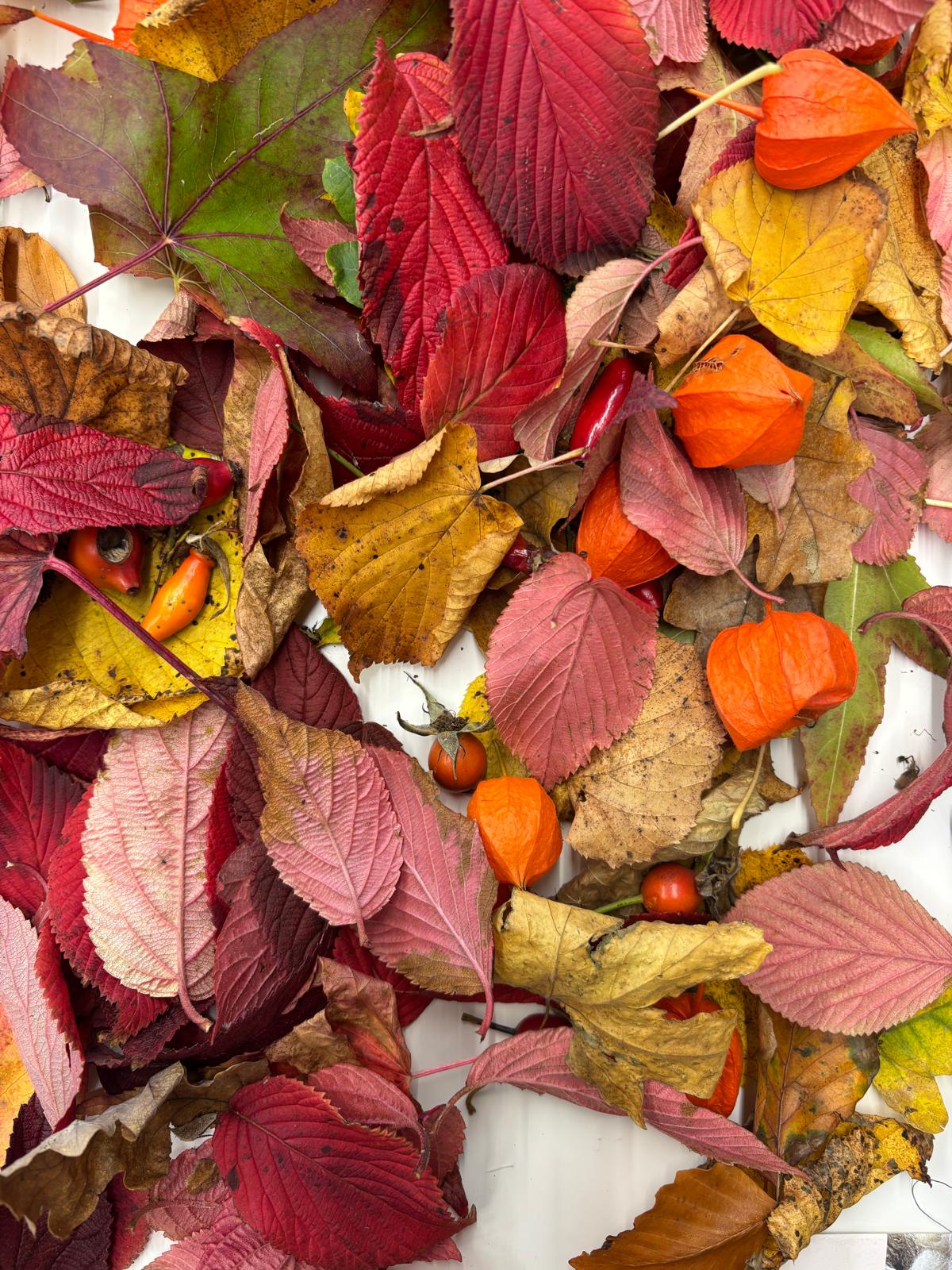 Herfstvakantie: Open atelier