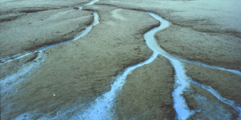 In gesprek over Han Jansen